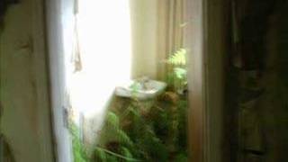 Nichts Bleibt für die Ewigkeit