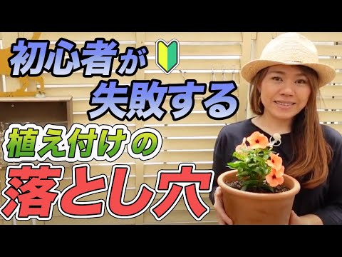 ハシバミの木はいつ植えるのですか？どうやって ？そして、植えた後はどうすればいいのでしょうか？  庭園