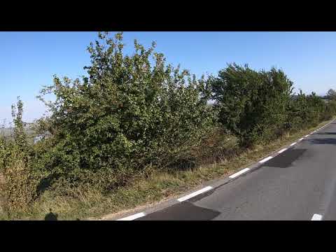 2  Varghis Sanpaul_Morning Fun