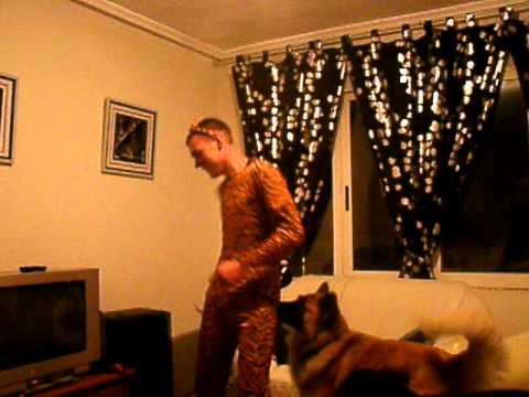 Cheesy Quaver Tiger Raver