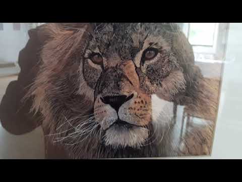 Dorset Art Weeks 2021: Othona's exhibition