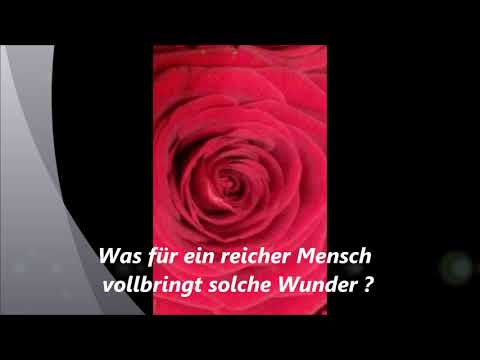 Alla Pugacheva Million alich ros deutsch scharlachrote Rosen Алла Пугачева