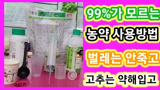 99%가 실수하는 농약사용 벌레는 안죽고 고추는 약해입고~주말농장,텃밭,귀농귀촌,농사,농부