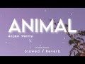 ANIMAL Arjan Vailly Slowed Reverb Ranbir Kapoor Animal Movie Song