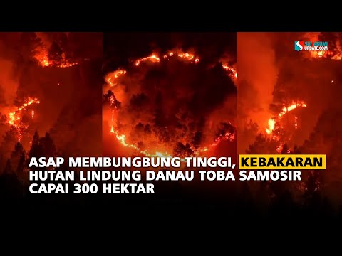 Asap Membungbung Tinggi, Kebakaran Hutan Lindung Danau Toba Samosir capai 300 Hektar