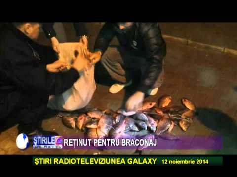 RAZIE IN PERIOADA DE PROHIBITIE SI ZONELE PROTEJATE