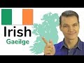 The Irish Language (Gaelic)