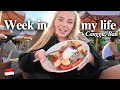 A Week In My Life Living In Canggu Bali As A Digital Nomad