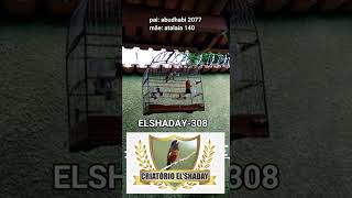 ELSHADAY-308