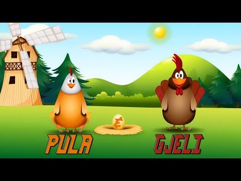 Kenge per femije - Pula dhe Gjeli