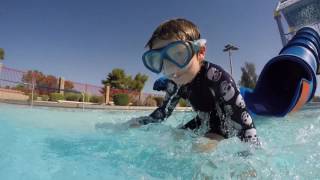 Lemon's 4th Birthday Party!