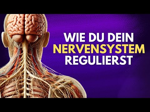 How you can consciously regulate your nervous system again.