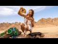 Solo Camping Adventure In Sahara Desert