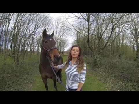 Blue Chip All Star Audition - Rhi Lee-Jones