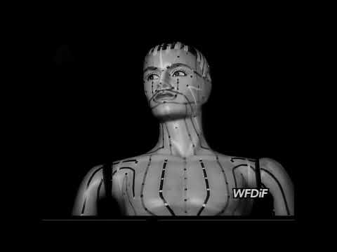 PoHcik - PRAWDA (Prod. Premier Arena) [Official Music Video 2022]