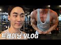트레이닝 VLOG / 몸무게 100kg 대와 웨이트 가슴 운동 훈련 오버트레이닝 같은데..?