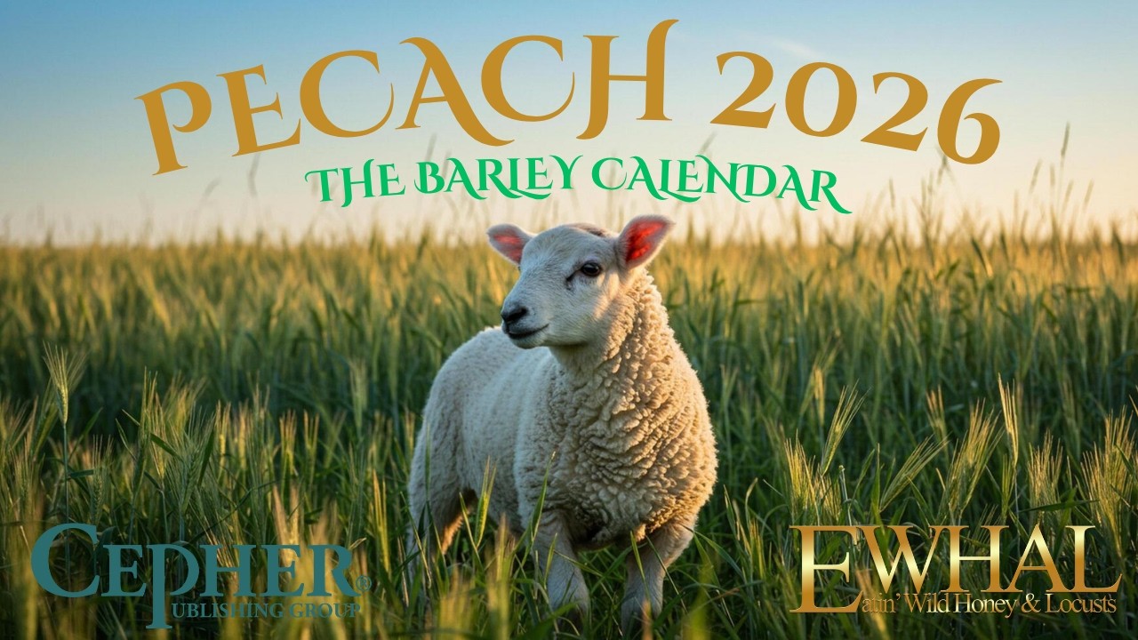 The Barley Calendar - Dr Stephen Pidgeon
