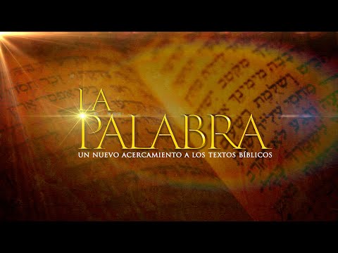 ¿Perdonar 70 veces 7? Preguntas y respuestas de la Biblia Curso Bíblico   Tema 8