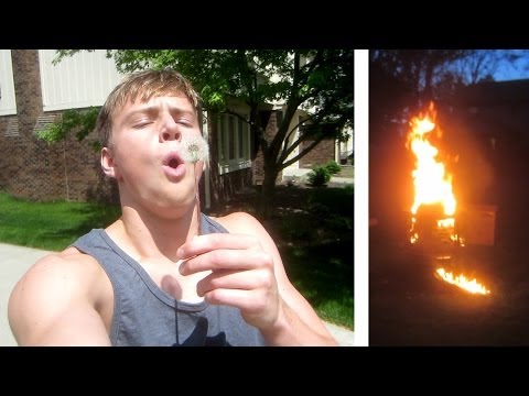DANDELIONS AND FIRE!