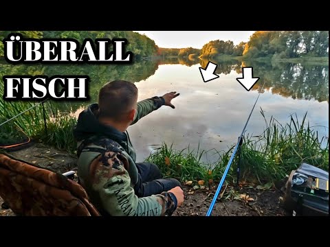 Fall fishing for predatory fish with bait. Pike, perch, and other species. Pike fishing 2025