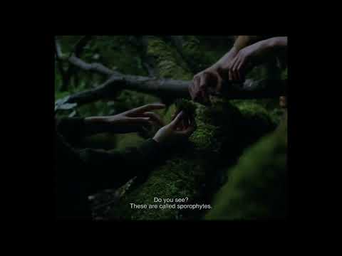 BIFF2023 Trailer l 히어  Here l 월드 시네마