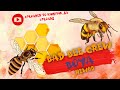 BOYA NEW45 BAD BEE CREW MOREFZA X MALENA X KAKASH X MACRYM33