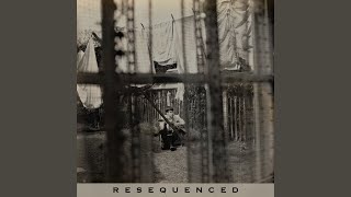 Comfort Of Love | Chaos and Creation in the Backyard Resequenced