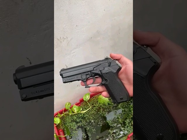 Vídeo relacionado con Tiendas LGP - Gamo, Pistola perdigón Gamo PT-80. Calibre 4,5 mm. 3,5 Julios + Maletín de Transporte + 250 balines + 2 Cargadores + Bombona CO2