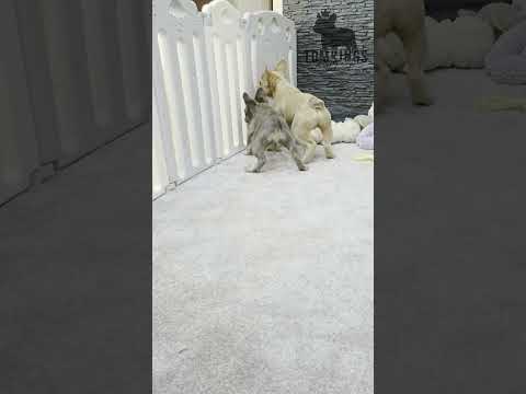 Video 5