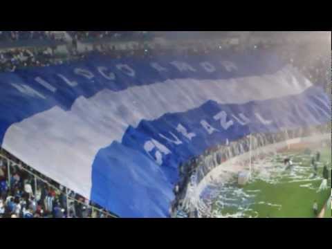 "MI LOCO AMOR CRUZ AZUL!!!!!!" Barra: La Sangre Azul &bull; Club: Cruz Azul