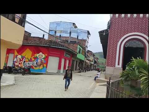 Monocultivo de caña en Campamento Antioquia