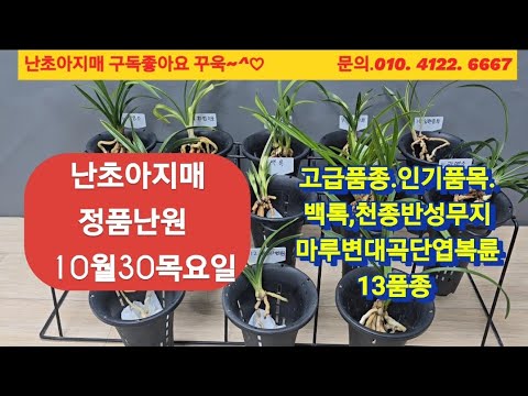 유튜브 썸네일
