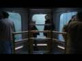 MEGALODON THE MOVIE