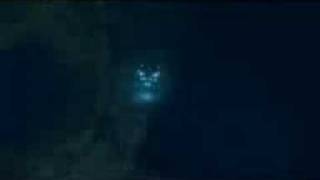 Megalodon (2004) Video