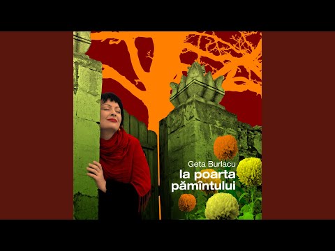 Femeia-I Ca Și Vinul