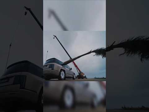 BYD marketing its car but can it compete with Tata #shorts #fighteraircraft #fighterjets #tatamotors