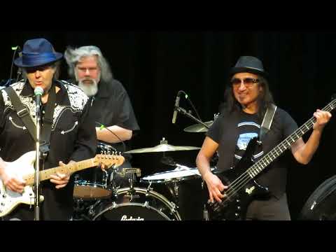 Walter Trout (featuring David Gogo)  - Gonna Hurt Like Hell