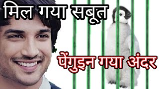 CBI got the evidence about baby penguins | Biggest news in Sushant singh Rajput case