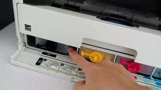How to make your EPSON printer work without chips by chipless software