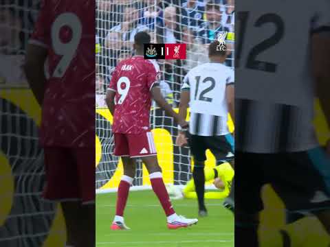 Newcastle United FC 2 - 2 Liverpool FC highlights