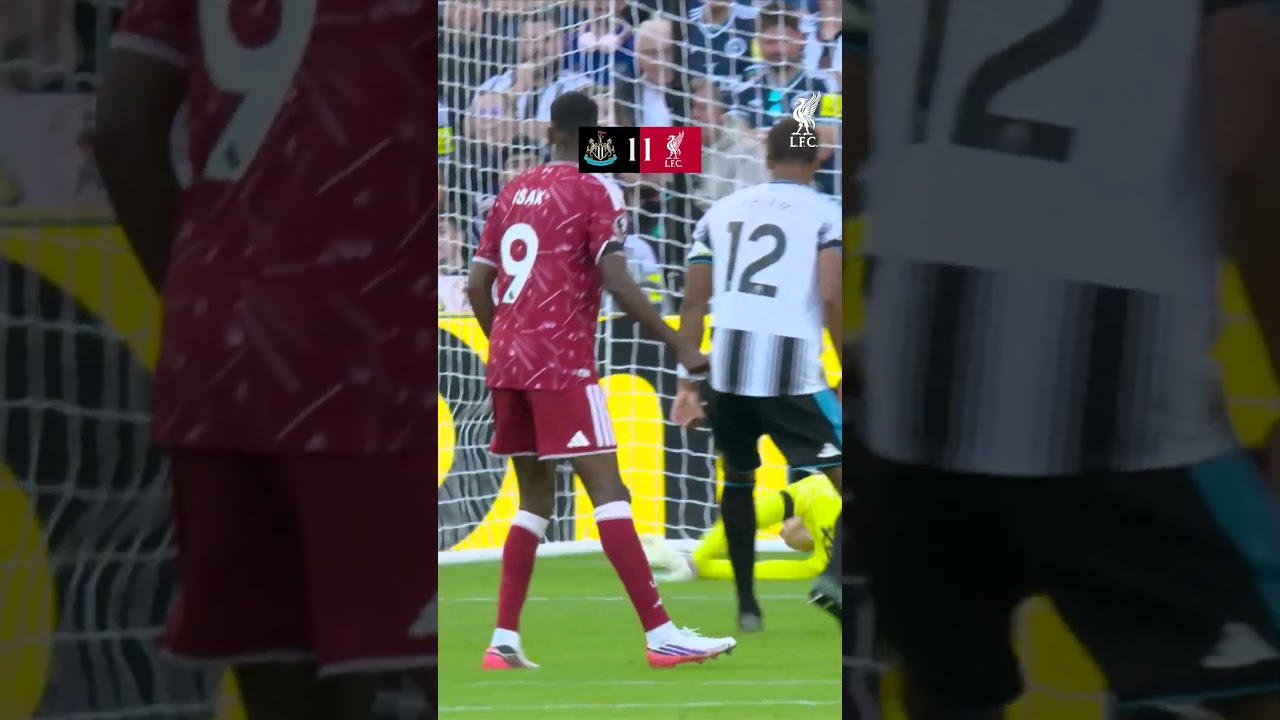 Newcastle United FC 2 - 2 Liverpool FC highlights