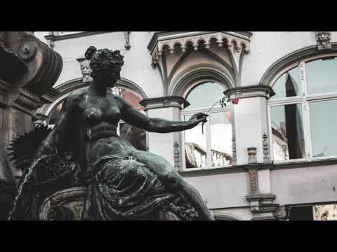 Telemann Concerto for Recorder and Flute in E minor TWV 52e1 Presto