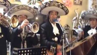 MARIACHI NUEVO JALISCO - CIELITO LINDO - CANTA EL CHARRITO DE ORO - TELF. 5681512
