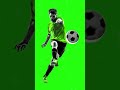 Football Animation Video Green Screen Videos Fifaworldcup2022 Football Kingwc