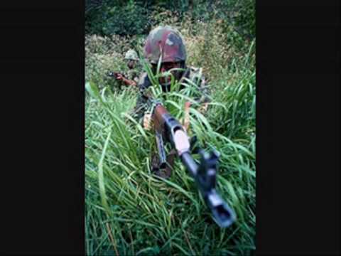 Vojska Srbije - Peta Kozarska Brigada