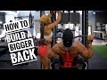 HOW TO BUILD A BIGGER BACK | Training Tips!