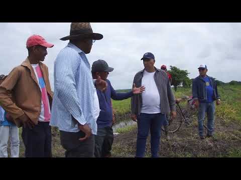 Incentivan la producción de alimentos en el sur de #LasTunas