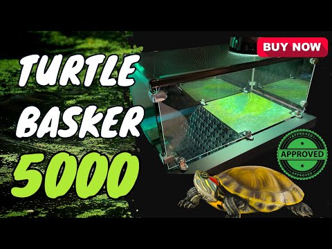Turtle Basker 5000 - Turtle Basking Dock for Large Turtles, Above Tank Dock