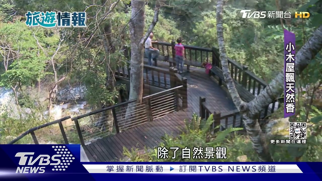 沉浸式體驗! 谷關八仙山能「爬山、泡冷泉、賞景」