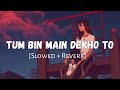 Tum Bin Me Dekho To Slowed Reverb Sad